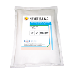 NAVET-E.T.S.C
