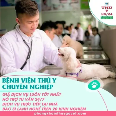 cấp cứu chó mèo 24/24