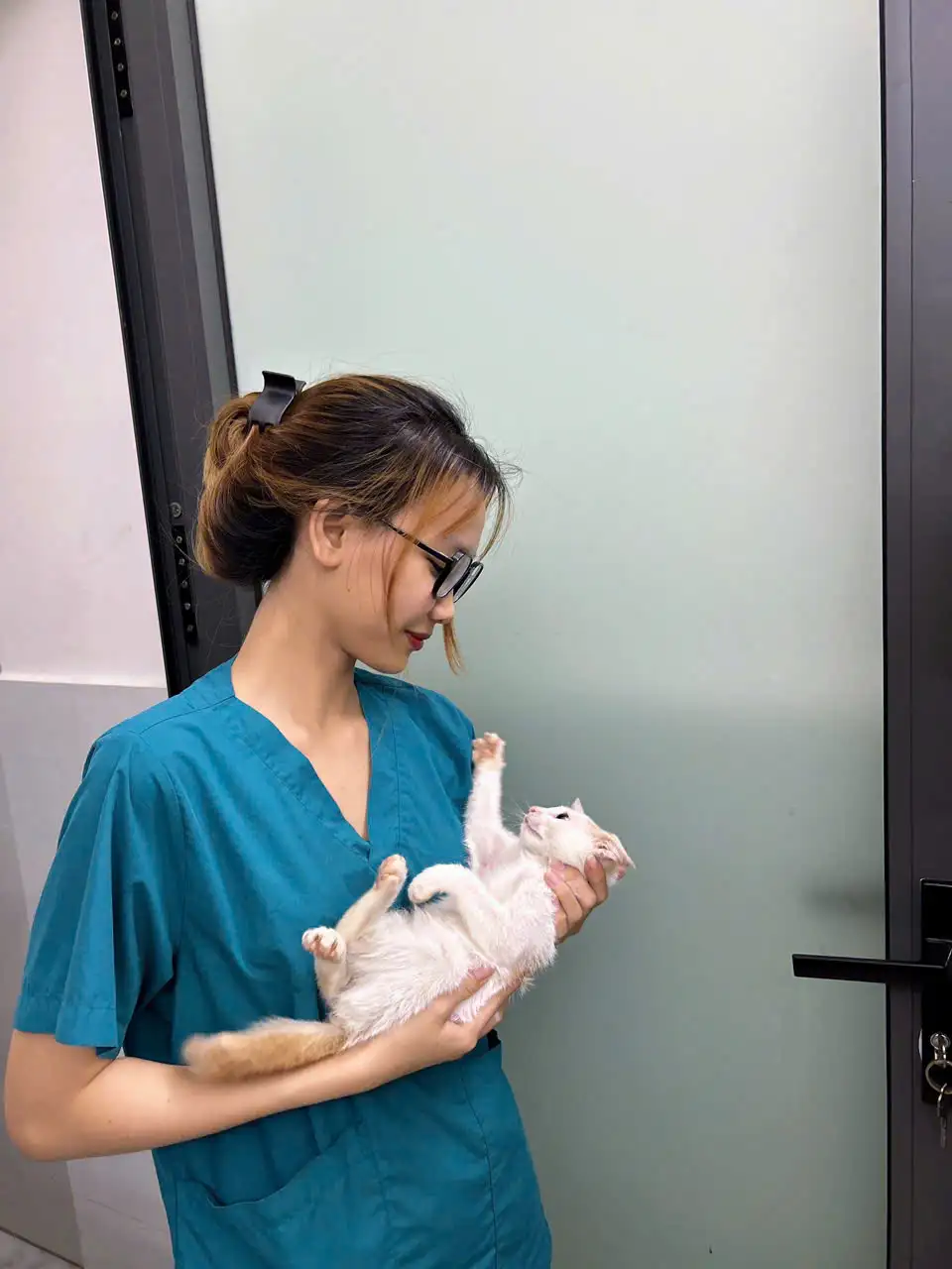 khám điều trị thú y tại nhà