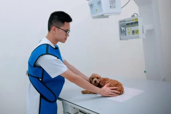 Phòng khám thú y có dịch vụ chụp X-Quang
