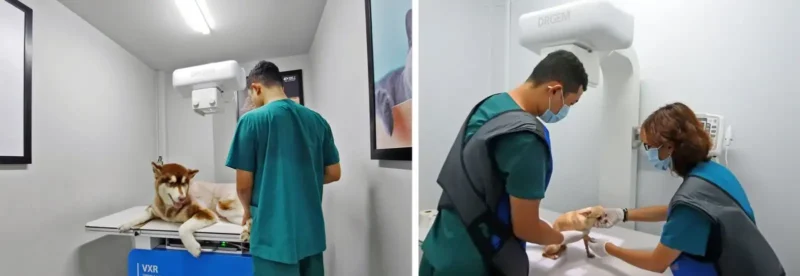 Phòng khám thú y có dịch vụ chụp X-Quang