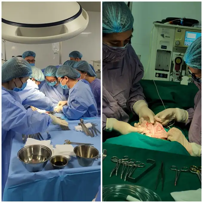 điều trị phẫu thuật cho thú cưng